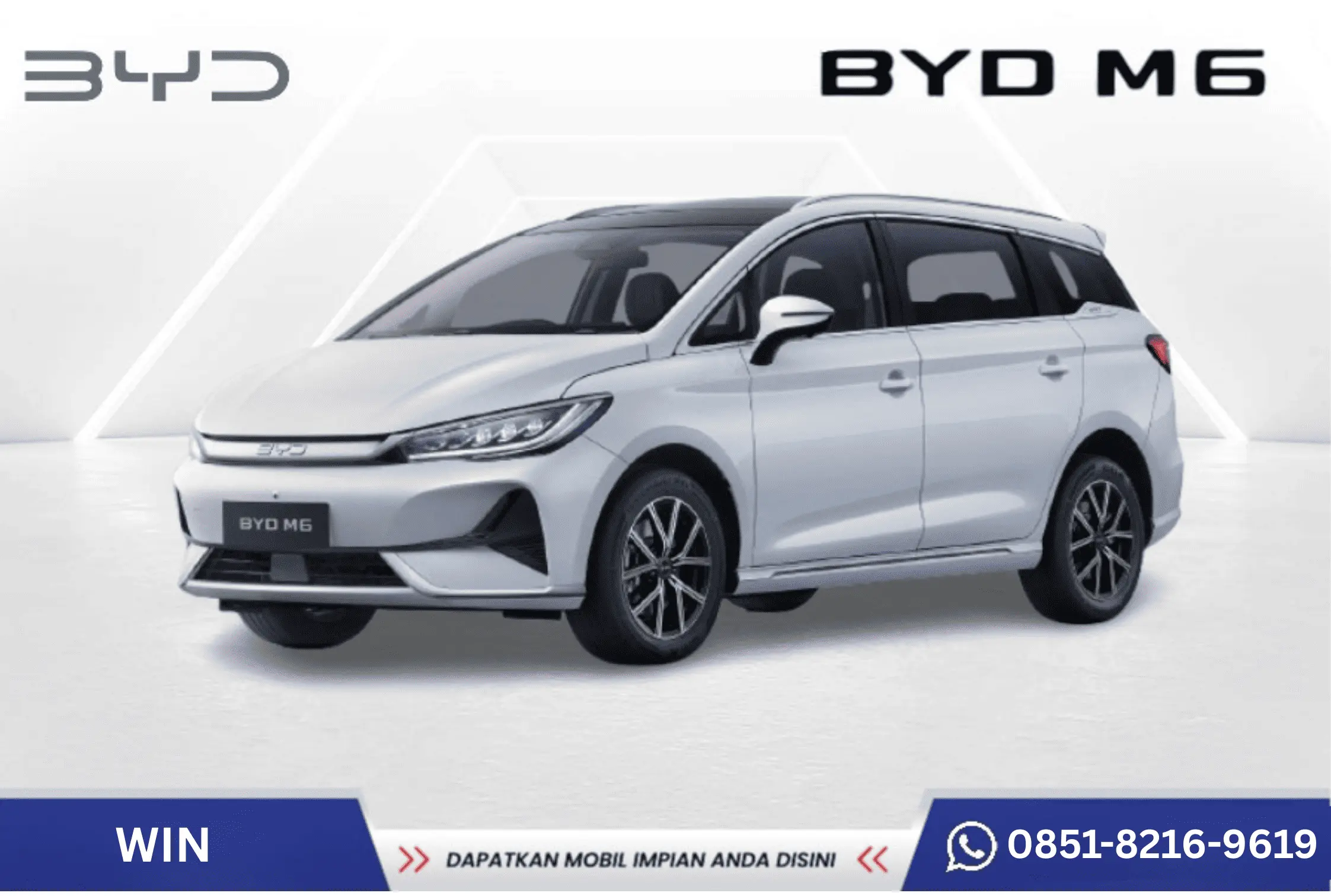 BYD M6